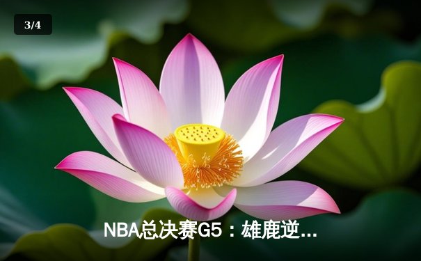 NBA总决赛G5：雄鹿逆转太阳夺赛点，字母哥32分创历史之夜 - 3